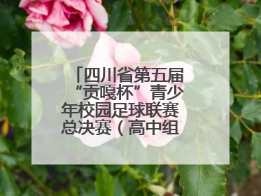 四川省第五届“贡嘎杯”青少年校园足球联赛总决赛（高中组）火热开赛