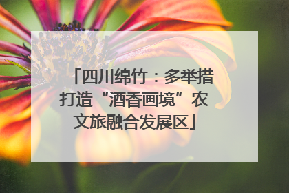 四川绵竹：多举措打造“酒香画境”农文旅融合发展区
