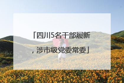 四川5名干部履新，涉市级党委常委