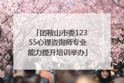 团鞍山市委12355心理咨询师专业能力提升培训举办