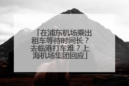 在浦东机场乘出租车等待时间长？去临港打车难？上海机场集团回应