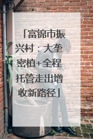 富锦市振兴村：大垄密植+全程托管走出增收新路径