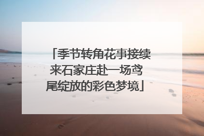 季节转角花事接续 来石家庄赴一场鸢尾绽放的彩色梦境