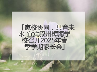 家校协同，共育未来 宜宾叙州樟海学校召开2025年春季学期家长会
