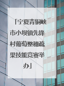 宁夏青铜峡市小坝镇先锋村葡萄整穗疏果技能竞赛举办