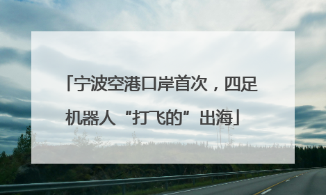 宁波空港口岸首次，四足机器人“打飞的”出海