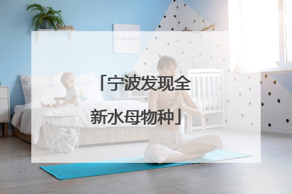 宁波发现全新水母物种