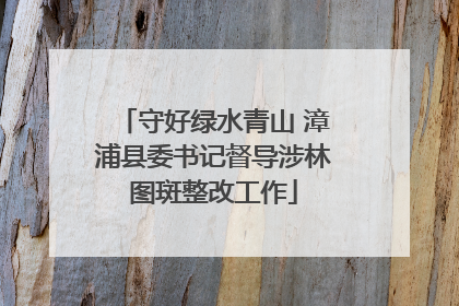 守好绿水青山 漳浦县委书记督导涉林图斑整改工作