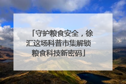 守护粮食安全，徐汇这场科普市集解锁粮食科技新密码