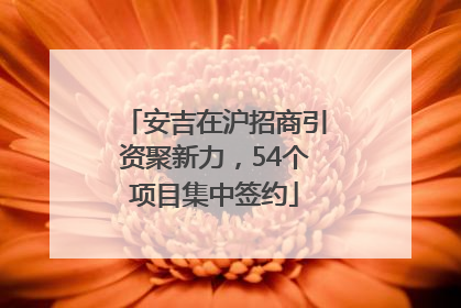 安吉在沪招商引资聚新力，54个项目集中签约