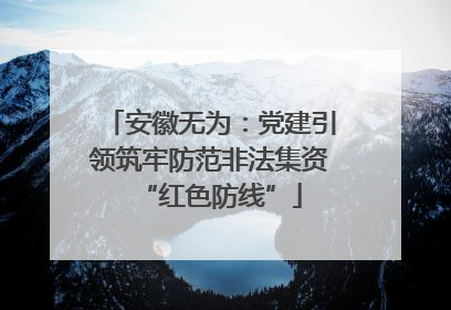 安徽无为：党建引领筑牢防范非法集资“红色防线”