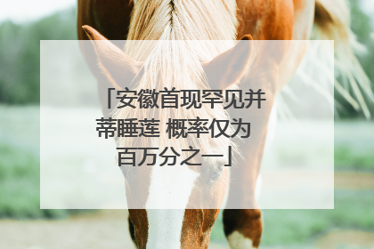 安徽首现罕见并蒂睡莲 概率仅为百万分之一