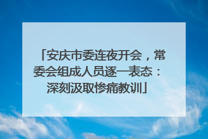 安庆市委连夜开会，常委会组成人员逐一表态：深刻汲取惨痛教训