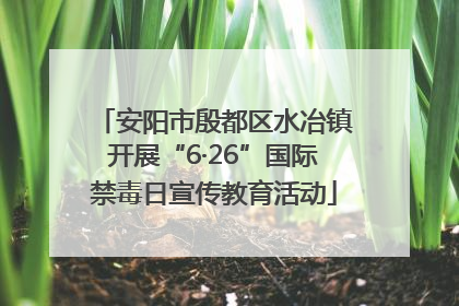 安阳市殷都区水冶镇开展“6·26”国际禁毒日宣传教育活动