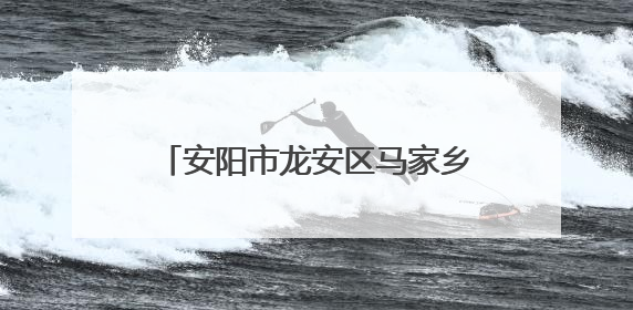 安阳市龙安区马家乡：实战演练砺精兵 筑牢防汛“安全堤”
