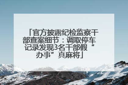 官方披露纪检监察干部查案细节：调取停车记录发现3名干部假“办事”真麻将