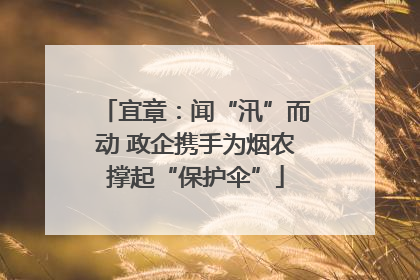 宜章：闻“汛”而动 政企携手为烟农撑起“保护伞”