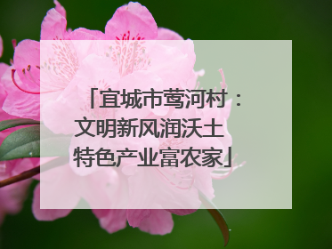 宜城市莺河村：文明新风润沃土 特色产业富农家