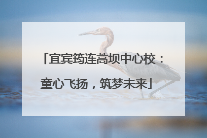 宜宾筠连蒿坝中心校：童心飞扬，筑梦未来