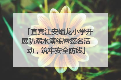 宜宾江安蟠龙小学开展防溺水演练暨签名活动，筑牢安全防线