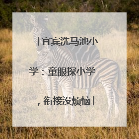 宜宾洗马池小学：童眼探小学，衔接没烦恼