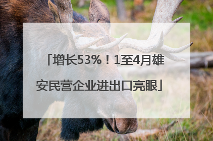 增长53%！1至4月雄安民营企业进出口亮眼