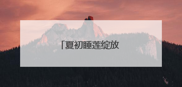 夏初睡莲绽放 一池清雅入画