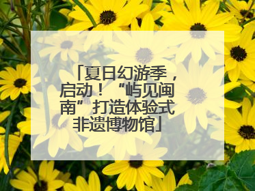 夏日幻游季，启动！“屿见闽南”打造体验式非遗博物馆