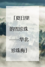 夏日里的雪珍珠——华北珍珠梅