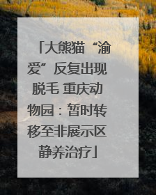 大熊猫“渝爱”反复出现脱毛 重庆动物园：暂时转移至非展示区静养治疗