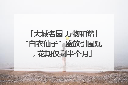 大城名园 万物和谐│“白衣仙子”盛放引围观，花期仅剩半个月