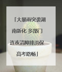 大暴雨突袭湖南新化 多部门连夜清障排涝保高考路畅