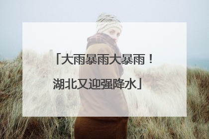 大雨暴雨大暴雨！湖北又迎强降水