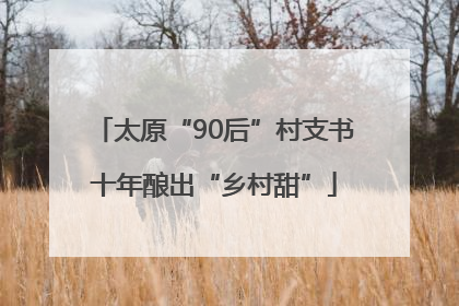 太原“90后”村支书十年酿出“乡村甜”