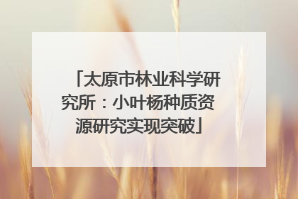 太原市林业科学研究所：小叶杨种质资源研究实现突破