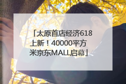 太原首店经济618上新！40000平方米京东MALL启幕