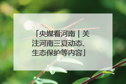 央媒看河南｜关注河南三夏动态、生态保护等内容