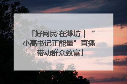 好网民·在潍坊｜“小高书记正能量”直播 带动群众致富