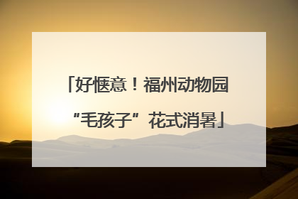 好惬意！福州动物园“毛孩子”花式消暑