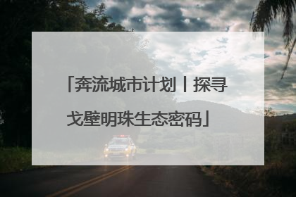 奔流城市计划丨探寻戈壁明珠生态密码
