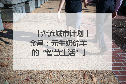 奔流城市计划丨金昌：元生奶绵羊的“智慧生活”