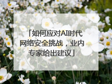 如何应对AI时代网络安全挑战，业内专家给出建议
