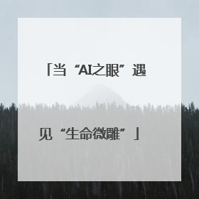 当“AI之眼”遇见“生命微雕”