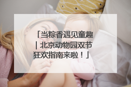当粽香遇见童趣｜北京动物园双节狂欢指南来啦！