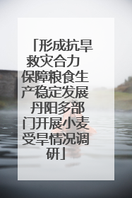 形成抗旱救灾合力 保障粮食生产稳定发展 丹阳多部门开展小麦受旱情况调研