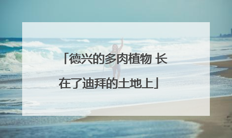 德兴的多肉植物 长在了迪拜的土地上