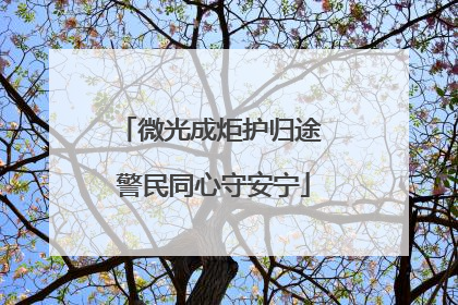 微光成炬护归途 警民同心守安宁