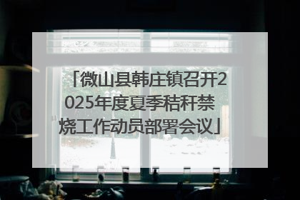 微山县韩庄镇召开2025年度夏季秸秆禁烧工作动员部署会议