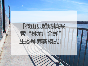 微山县驩城镇探索“林地+金蝉”生态种养新模式
