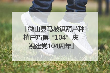 微山县马坡镇葫芦种植户巧摆“104”庆祝建党104周年